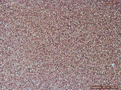 均質(zhì)狀態(tài)