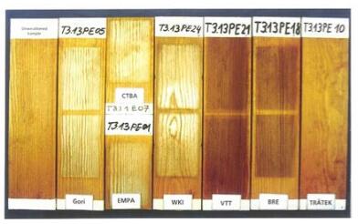 照片1：在7種暴露循環(huán)結束時的涂料系統(tǒng)E