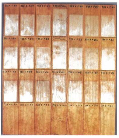 照片3：在優(yōu)化循環(huán)結束時的涂料系統(tǒng)E