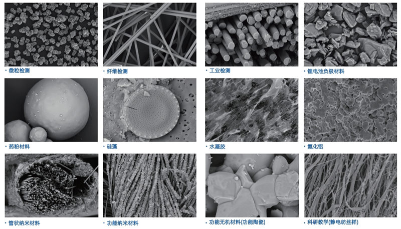 臺式掃描電鏡應(yīng)用案例